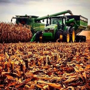 Meet your Posher, Oscar